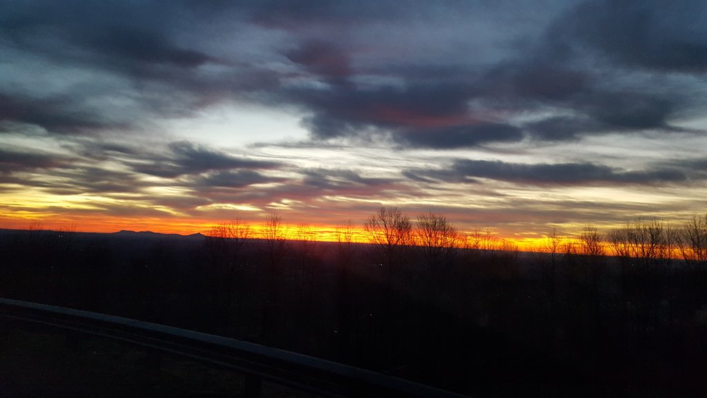 _070026.jpg