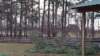_072815_small.jpg