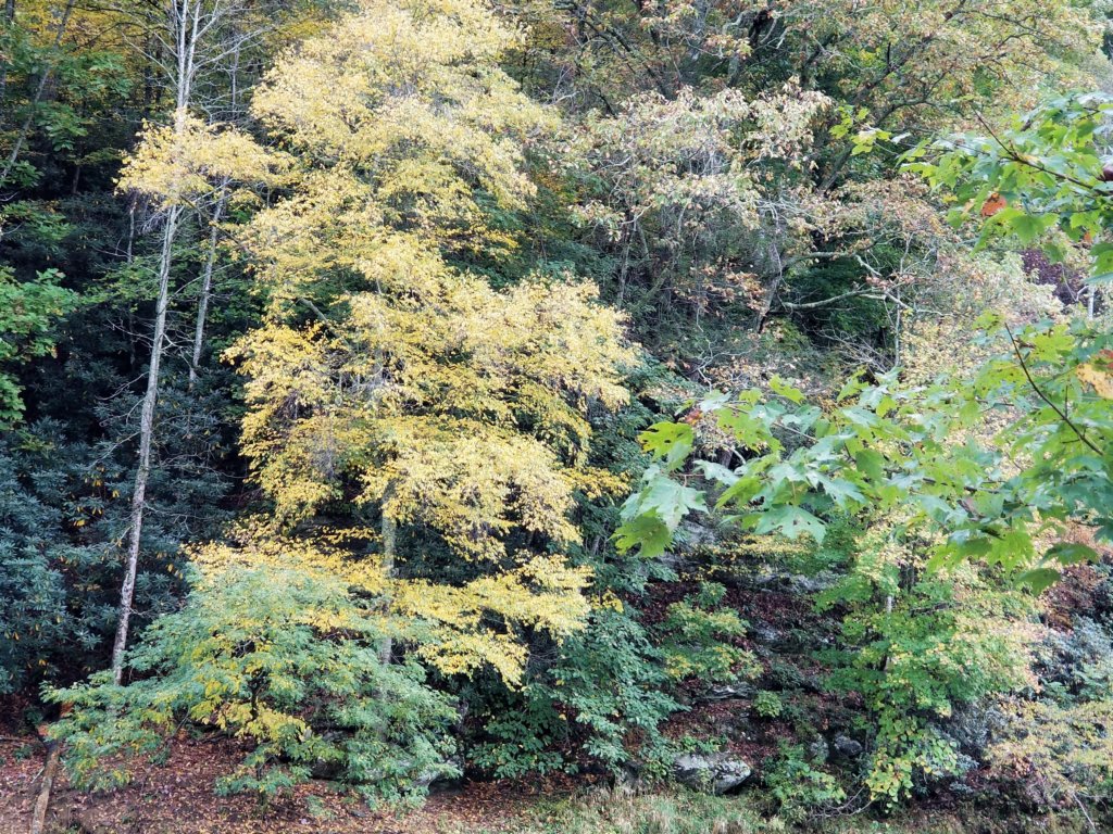 photo23.jpg