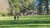_135613_small.jpg