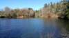 _142430_small.jpg