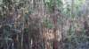_142651_small.jpg