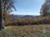 img_20251101_103213370_hdr_small.jpg