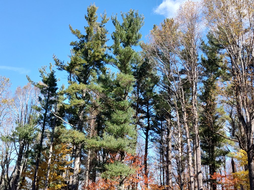 img_20251101_124102887_hdr.jpg