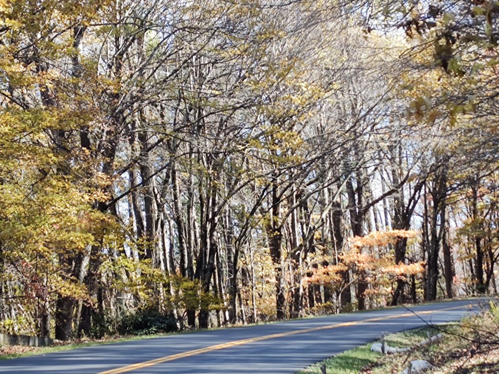 img_20251101_124346314.jpg