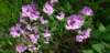 _084249_small.jpg