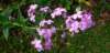 _084311_small.jpg