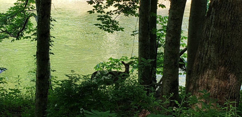 _085945.jpg