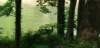 _085945_small.jpg