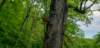 _105637_small.jpg