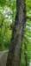 _105641_small.jpg
