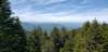 _105751_small.jpg
