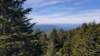 _105846_small.jpg