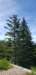 _105917_small.jpg