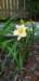 _164318_small.jpg