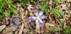 _165353_small.jpg