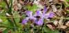 _165430_small.jpg