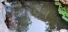_200646_small.jpg