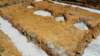 _122638_small.jpg