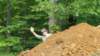 _125824_small.jpg