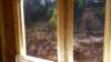 _123227_small.jpg