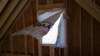 _123301_small.jpg