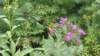 _124623_small.jpg