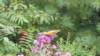_124718_small.jpg