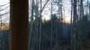 _162145_small.jpg
