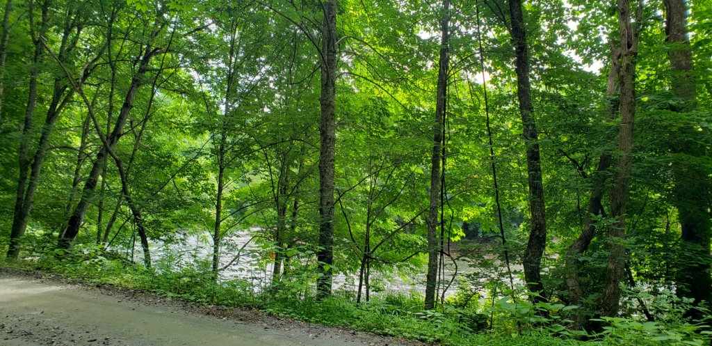 _110310.jpg