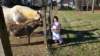 _102843_small.jpg