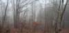_170414_small.jpg