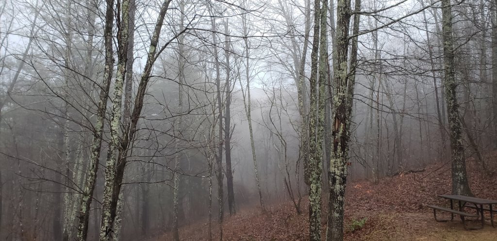 _170419.jpg