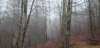 _170419_small.jpg
