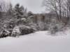 img_20201225_122248072_hdr_small.jpg