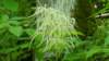 _094841_small.jpg