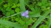 _095400_small.jpg