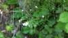_095846_small.jpg
