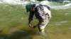 _112059_small.jpg