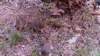 _204339_small.jpg