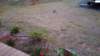 _204420_small.jpg