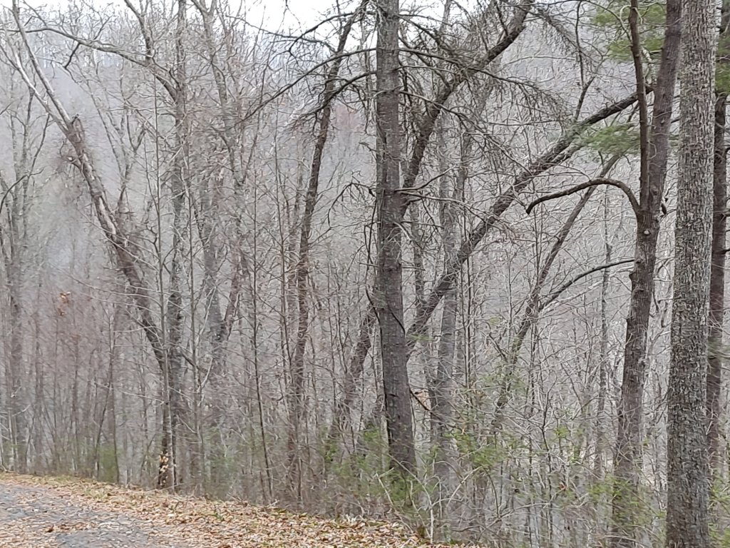 img_20240322_181615513.jpg
