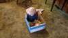 _133319_small.jpg