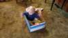 _133321_small.jpg