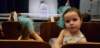 _160757_small.jpg