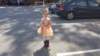_155019_small.jpg