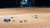 _210313_small.jpg