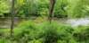 _100517_small.jpg