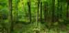 _102514_small.jpg