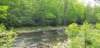 _103031_small.jpg